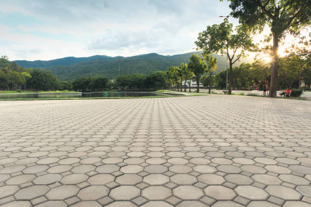 Best Driveway Pavers Near Me  in Rolla, MO
